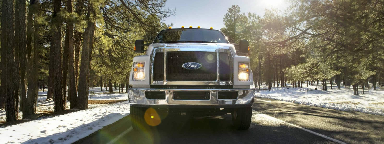 Exclusive Ford Diesel and Gas Engines