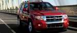 New 2009 Ford Escape