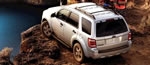 New 2008 Ford Escape XLT