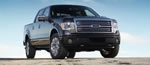 New 2009 Ford F-150 FX4