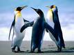 MANAGER'S   SPECIALS $25.00 OFF  SERVICE  2 REG.$299.95 $50.00 OFF  SERVICE 3 REG $399.95