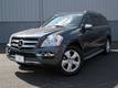 WHAT A GREAT BUY ! 2010 MERCEDES-BENZ GL 450  OWN IT ! $ 795 PER MONTH $5000 DN +TT&L 