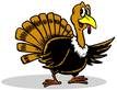 Especial de Thanksgiving Cambio de Aceite y Filtro Por tan solo $23.95*
